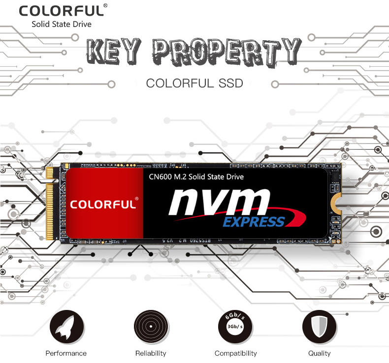 o cung ssd colorful cn600 256gb m 2 nvme 2280 pcie 1